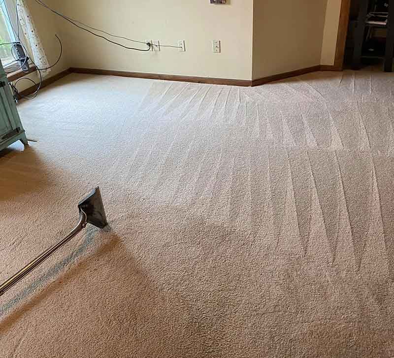 Carpet Cleaning Services