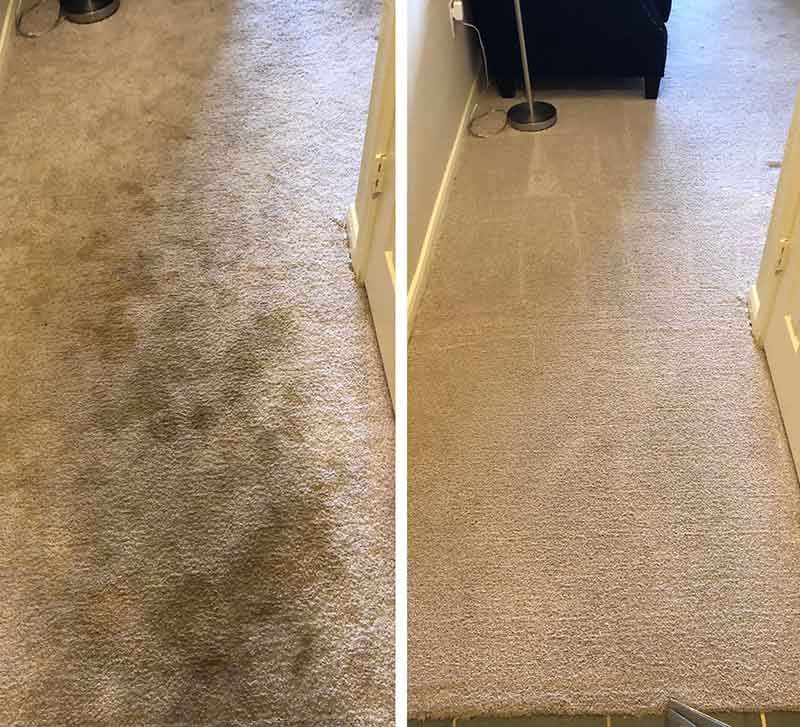 Carpet Cleaning Before and After