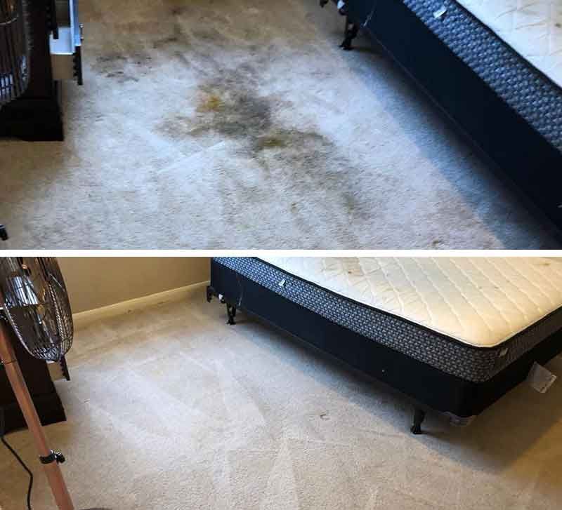 Before and After Pet Stain removal